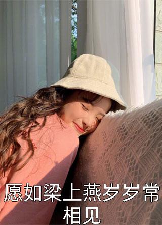 小金渔写的小说愿如梁上燕岁岁常相见小说全文阅读