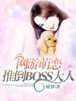 网游萌恋：推倒BOSS大人