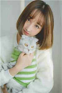 金牌村长苏策全文全章节小说阅读