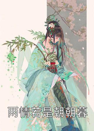 两情若是朝朝暮精彩小说(热宫娘娘)全章节阅读