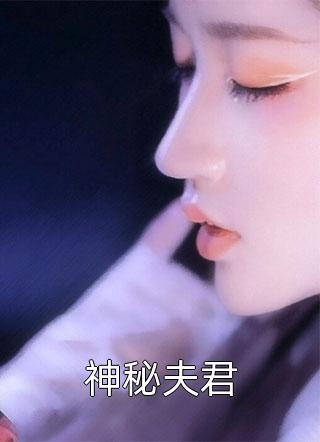 神秘夫君苏文文在线阅读-神秘夫君全文免费阅读