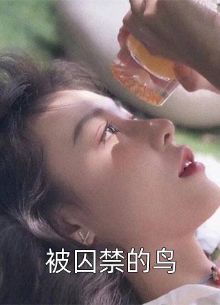 [完结]被囚禁的鸟全章节阅读