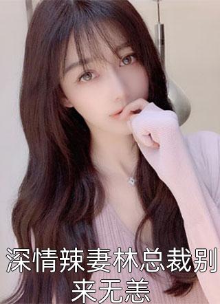 深情辣妻林总裁别来无恙小说全文鄀宁宁免费阅读