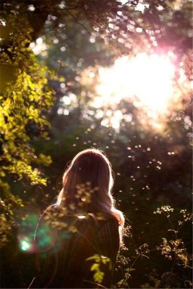 赢了他一回(李誉)李誉免费小说全章节阅读