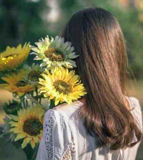 原是缘浅小说林阮顾旻行（林阮顾旻行）全文免费阅读_ (林阮顾旻行)原是缘浅小说最新章节列表_（林阮顾旻行）