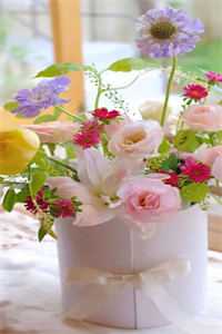 原是缘浅小说林阮顾旻行全文免费阅读_（原是缘浅全文免费阅读）原是缘浅小说林阮顾旻行最新小说（原是缘浅小说林阮顾旻行）