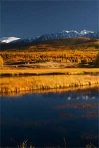 眼神焦距小说免费阅读(眼神焦距)全文免费阅读_封廷江姜棠最新章节列表_（眼神焦距）