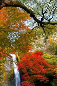 弃妃逆袭:邪王日日追妻忙（萧令月战北寒）全文免费阅读无弹窗_（弃妃逆袭:邪王日日追妻忙完整版）弃妃逆袭:邪王日日追妻忙最新章节列表_（弃妃逆袭:邪王日日追妻忙）