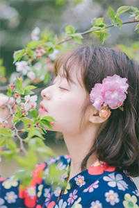 花事阑珊(花清洛秦修寒)全文免费阅读无弹窗_花事阑珊(花清洛秦修寒)最新章节目录_（花清洛秦修寒）