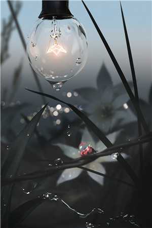 温知羽霍司砚小说免费阅读（温知羽霍司砚）全文免费阅读无弹窗_温知羽霍司砚小说全文免费阅读_（温知羽霍司砚）