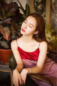 闪婚成宠,老公竟是千亿大佬(海彤战胤)全文免费阅读无弹窗大结局_ 闪婚成宠,老公竟是千亿大佬免费阅读最新章节列表(海彤战胤)