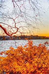 宋南薇顾云廷（宋南薇顾云廷）免费阅读无弹窗大结局_（宋南薇顾云廷）宋南薇顾云廷小说免费阅读最新章节列表_（宋南薇顾云廷）