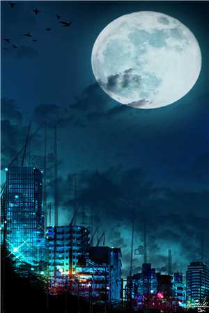 宋晚栀江肆小说(宋晚栀江肆)全文免费阅读无弹窗大结局_(宋晚栀江肆)宋晚栀江肆免费阅读_（宋晚栀江肆）