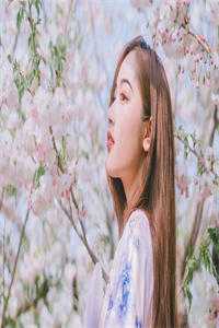 萧令月战北寒(萧令月战北寒)全文免费阅读无弹窗大结局_ (萧令月战北寒)萧令月战北寒免费阅读无弹窗最新章节列表_（萧令月战北寒）