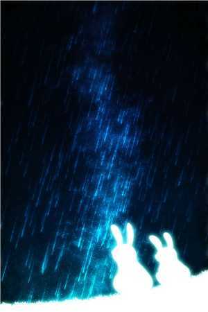 帝凰之神医弃妃（凤轻尘东陵九）全文免费阅读无弹窗大结局_帝凰之神医弃妃全文免费阅读（帝凰之神医弃妃）最新章节列表（帝凰之神医弃妃）