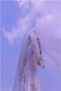 旅行套餐知乎小说全文免费阅读无弹窗最新章节列表（许晴郑琳）