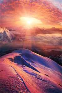 未见卿（花若颜秦洛亦）全文免费阅读无弹窗大结局_未见卿全文免费阅读（未见卿）最新章节列表_（花若颜秦洛亦）