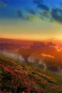 唐羽萧玉淑（盖世皇太子）全文免费阅读无弹窗大结局_盖世皇太子唐羽萧玉淑小说全文免费阅读最新章节列表_（盖世皇太子）唐羽萧玉淑