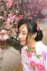 她靠算命称霸豪门（鹿宝儿秦北也）全文免费阅读无弹窗大结局_她靠算命称霸豪门小说（鹿宝儿秦北也）最新章节列表（她靠算命称霸豪门）