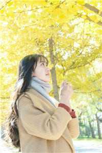 盖世皇太子（盖世皇太子）小说全文免费阅读无弹窗大结局_（盖世皇太子）盖世皇太子最新章节列表_（盖世皇太子）