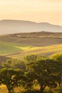 温知羽霍司砚全文免费阅读无弹窗大结局_温知羽霍司砚小说免费阅读最新章节列表_（温知羽霍司砚）