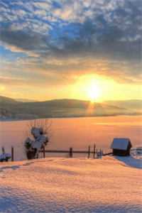 温然陆锦年（465415温然陆锦年）小说全文免费无弹窗未删减版大结局_465415温然陆锦年（温然陆锦年）最新章节目录（465415温然陆锦年）