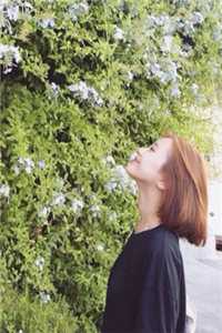 （谢兰苧萧南殊）卿本惊华小说全文免费阅读无弹窗大结局_（卿本惊华小说全文免费阅读）卿本惊华最新章节列表（谢兰苧萧南殊）