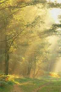 谢兰苧萧南殊小说（谢兰苧萧南殊）全文免费阅读无弹窗大结局_谢兰苧萧南殊小说全文免费阅读最新章节列表_（谢兰苧萧南殊）