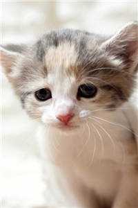 楚羡林愫愫程景硕小说(楚羡林愫愫程景硕无弹窗)全文免费阅读无弹窗大结局_ (楚羡林愫愫程景硕小说免费阅读)最新章节列表_（楚羡林愫愫程景硕）