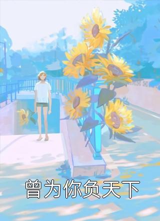 《曾为你负天下》完结小说(全文在线阅读)