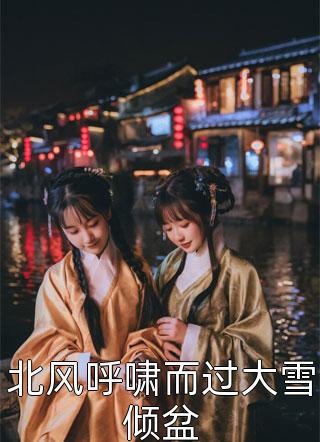 爆款小说牛美人《北风呼啸而过大雪倾盆》在线阅读