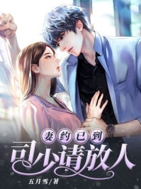 妻约已到司少请放人五月雪小说全文免费阅读