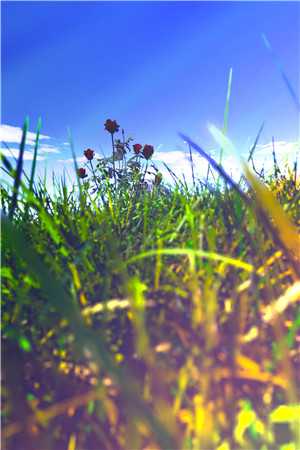 付瑾夕周斯和小说《蓄意接近》小说完整版阅读