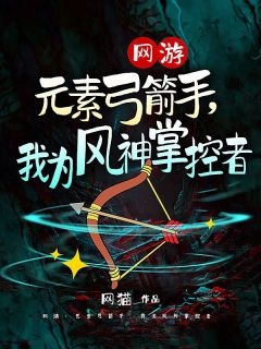 网游元素弓箭手我为风神掌控者高天小雪小说_网游元素弓箭手我为风神掌控者免费阅读