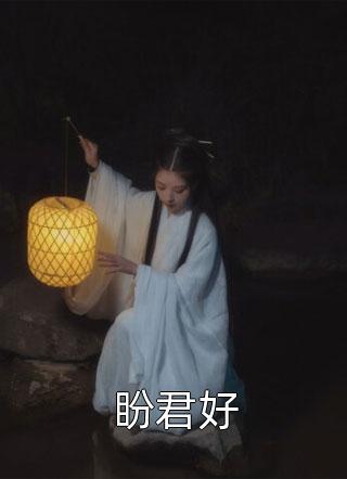 盼君好佚名全本小说最新阅读