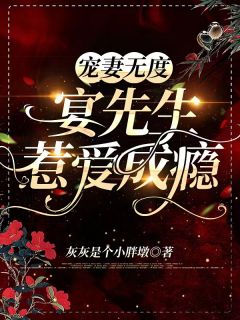 宠妻无度，晏先生惹爱成瘾灰灰是个小胖墩小说（完整版）阅读