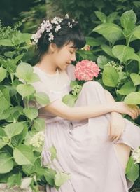 《时鹿是江家养女》完结小说(全文在线阅读)