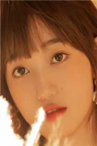 试探爱意免费阅读_宋雁书陆渊沈归迟精彩小说-免费阅读