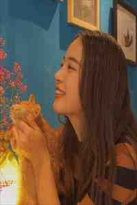 路放林霜小说全文免费阅读无弹窗大结局_（路放林霜全文免费阅读）路放林霜免费阅读最新章节小说_（路放林霜）