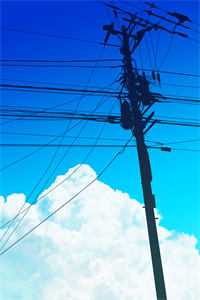 伴我前行全文免费阅读无弹窗大结局_（伴我前行免费阅读）伴我前行宋衍之顾疏宋安笙最新章节列表_（宋衍之顾疏宋安笙）