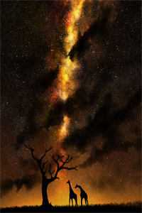 傅北渊苏苒小说（傅北渊苏苒）全文免费阅读无弹窗大结局_（傅北渊苏苒）傅北渊苏苒最新章节列表_（傅北渊苏苒）