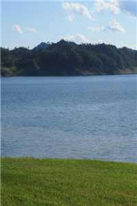 江苒（江苒裴云起）全文免费阅读无弹窗大结局_江苒免费阅读全文最新章节列表_（江苒裴云起）