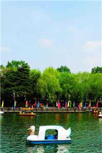 我的野女孩(蓝嘉文许佳佳)全文免费阅读无弹窗大结局_（蓝嘉文许佳佳）我的野女孩免费阅读无弹窗最新章节列表_（蓝嘉文许佳佳）