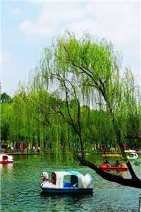 姜知意陆辰安（姜知意陆辰安）全文免费阅读无弹窗大结局_姜知意陆辰安小说（姜知意陆辰安）最新章节列表（姜知意陆辰安）