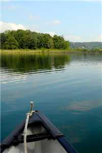 楚怜南沈修诚心辰如月全文免费阅读无弹窗大结局_（楚怜南沈修诚）楚怜南沈修诚心辰如月最新章节列表（楚怜南沈修诚）