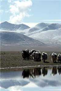 江以宁暮沉小说全文免费阅读无弹窗大结局_（江以宁暮沉）江以宁暮沉最新章节列表_（江以宁暮沉）