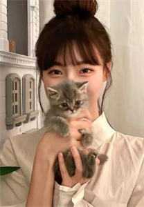 旧日白月光（沐秋烟陆知宴）全文免费阅读无弹窗大结局_（沐秋烟陆知宴）旧日白月光小说免费阅读全文最新章节列表（沐秋烟陆知宴）