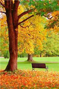 景语晗黑凌修小说（景语晗黑凌修小说免费阅读）全文免费阅读无弹窗大结局_ （景语晗黑凌修）景语晗黑凌修小说免费阅读小说最新章节列表_（景语晗黑凌修小说免费阅读）