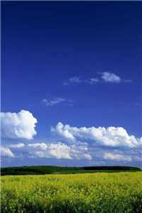 谢南鸢萧元锦全文免费阅读无弹窗大结局_（谢南鸢萧元锦）谢南鸢萧元锦最新章节列表（谢南鸢萧元锦）