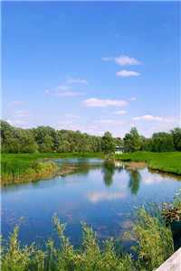 宋朝夕沈淮（宋朝夕沈淮）全文免费阅读无弹窗大结局_宋朝夕沈淮小说全文免费阅读最新章节列表_（宋朝夕沈淮）